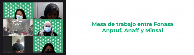 Mesa de trabajo entre Fonasa, Anptuf, Anaff y Minsal