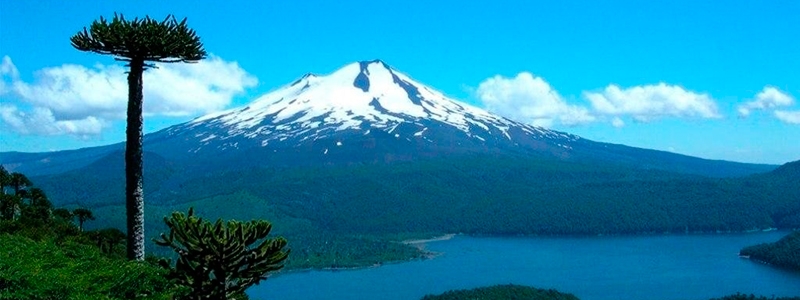 Dirección Zonal Sur