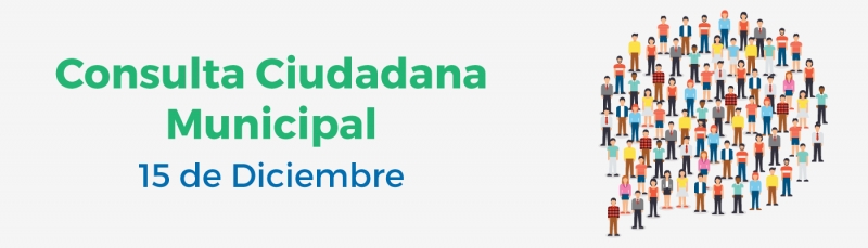 Consulta Ciudadana Municipal